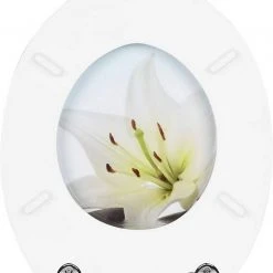 EUGAD WC-Sitz (1-St), Toilettensitz, WC Sitz mit Absenkautomatik, MDF, Holz, Softclose Scharnier Grüne Blätter, Holzfarbe, Lilie, Seestern, Seestern Am Strand, Seestern Sonnenuntergang, Stone, Lila Blume und Stones 67 EUGAD WC-Sitz (1-St), Toilettensitz, WC Sitz mit Absenkautomatik, MDF, Holz, Softclose Scharnier Grüne Blätter, Holzfarbe, Lilie, Seestern, Seestern Am Strand, Seestern Sonnenuntergang, Stone, Lila Blume und Stones -Eugad Möbel Einkaufen 58ff7577 20c7 4ebc bd9c b1f2369dc319